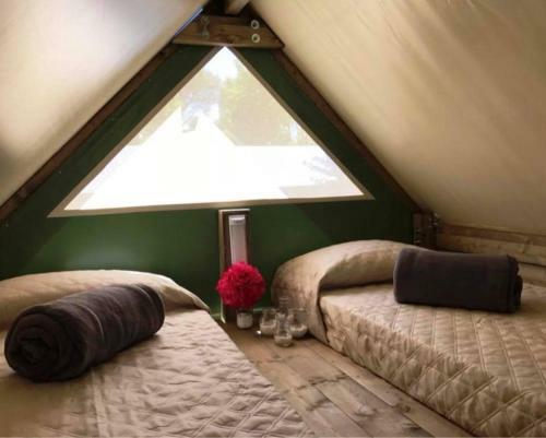 Camping Rose