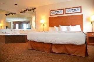 Hotel Baymont Inn & Suites -port Huron