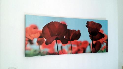 Apartamento Castelappartamenti