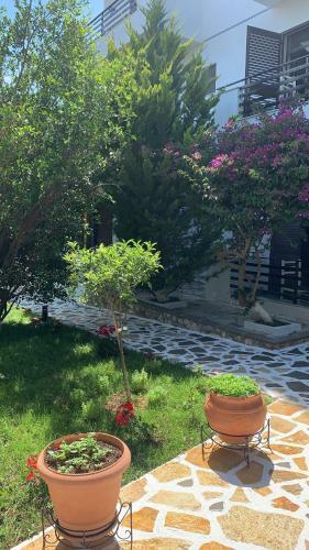 Hostal Hotel Natali