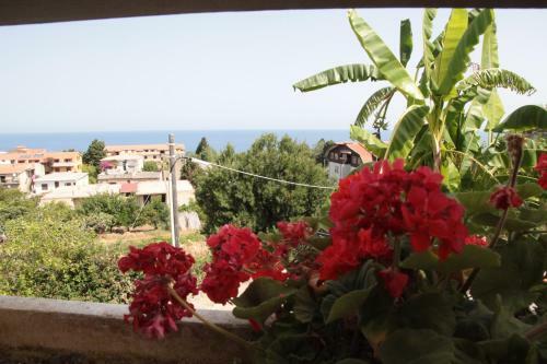 Bed And Breakfast Galez
