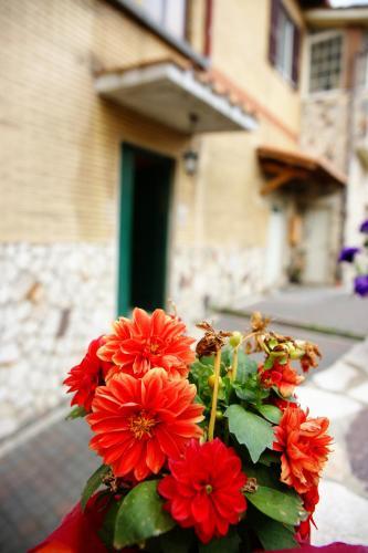Palestrina - Valmontone B&B