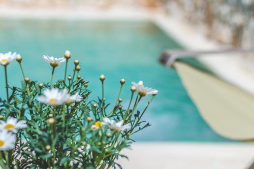 Villa Sardedda Trulli Suite