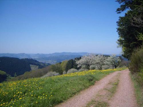 Apartamento Langenberghof