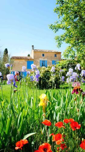 Bed & Breakfast Le Mas Saint Jacques