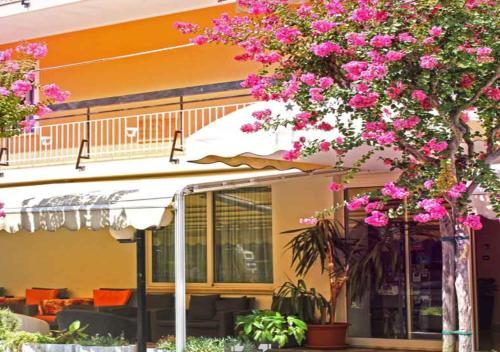 Hotel Ribot