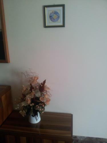 Hostal Assisana Affittacamere