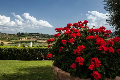 Agroturismo Agriturismo Sanguineto