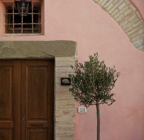 Bed & Breakfast Torre Della Botonta Di Baliani Fortunato