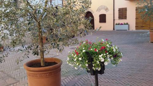 Bed & Breakfast Torre Della Botonta Di Baliani Fortunato