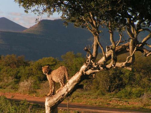 Samara Private Game Reserve Karoo Lodge