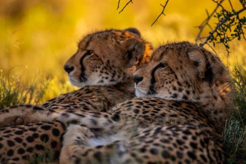 Samara Private Game Reserve Karoo Lodge