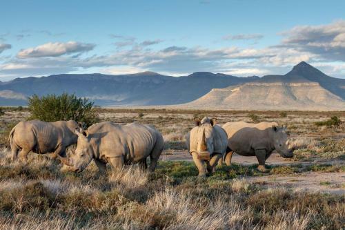 Samara Private Game Reserve Karoo Lodge