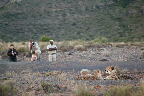 Samara Private Game Reserve Karoo Lodge