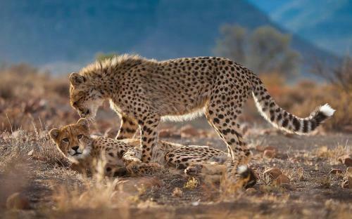 Samara Private Game Reserve Karoo Lodge