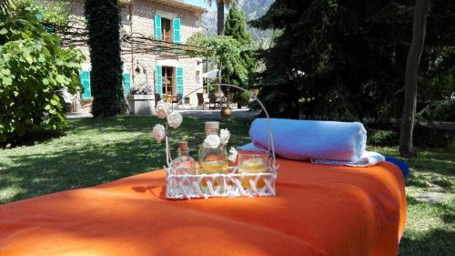 Agroturismo Finca Cas Sant