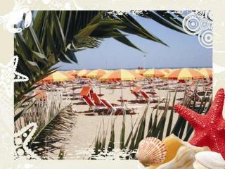Hotel Camelia