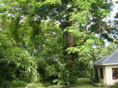 Hostal Marula Place