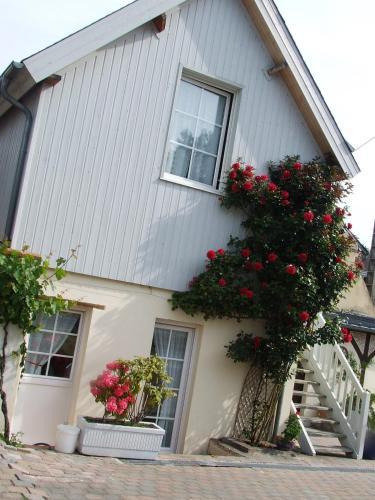 Apartamento Gite Les Orchid�es