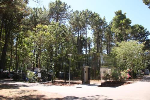 Camping Taxo Les Pins