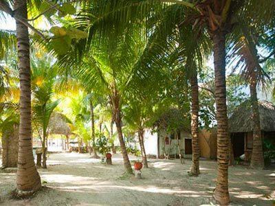 Hotel Zomay