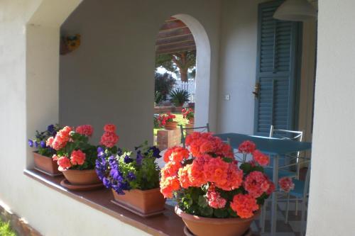 Bed & Breakfast Solaris