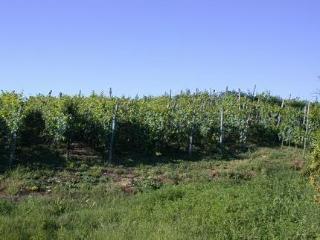 Hotel Cascina Caldera