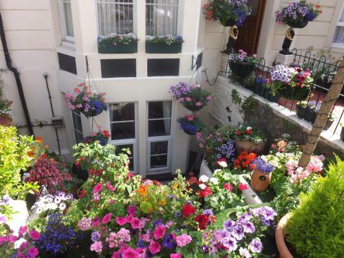 Hostal The Rosita