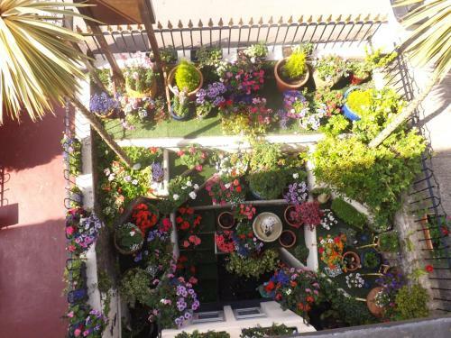Hostal The Rosita