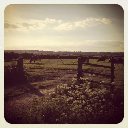 Agroturismo Locking Head Farm