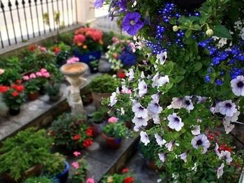 Hostal Florence Guest House