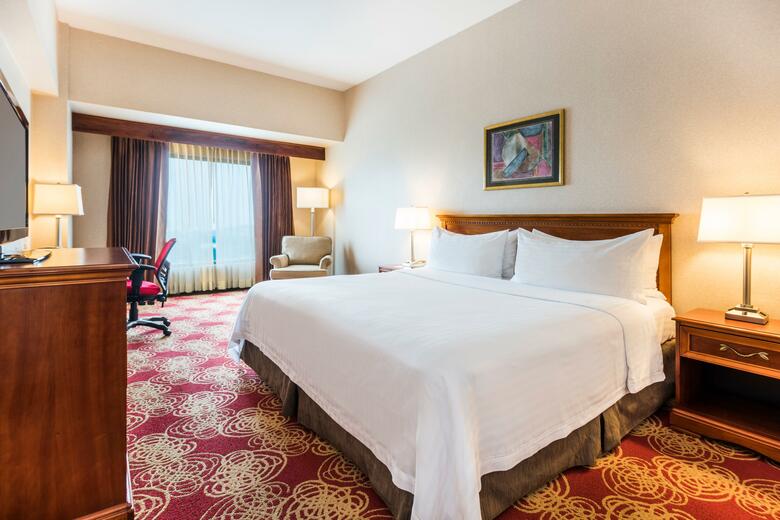 Hotel Holiday Inn Convention Center Managua