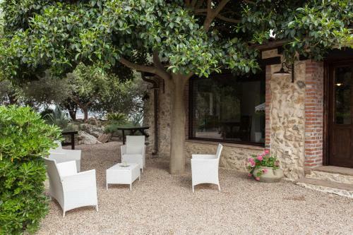 Bed & Breakfast Roba Degli Ulivi