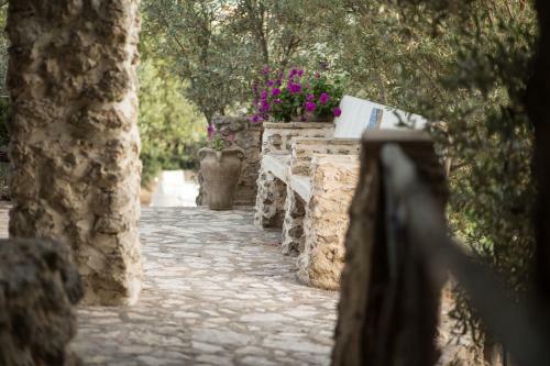 Bed & Breakfast Roba Degli Ulivi