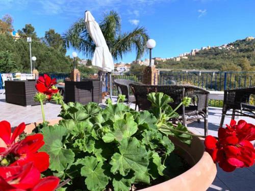 B&B Villa Del Sole