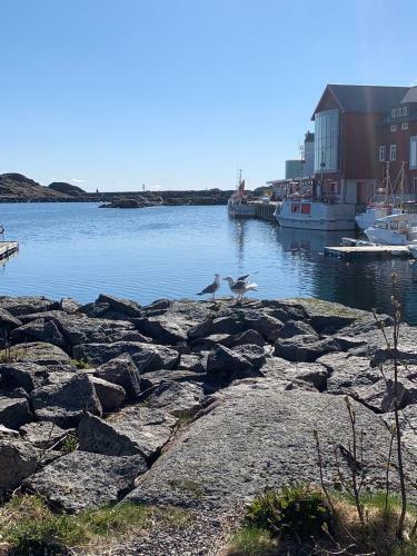 Skj�ret Stamsund