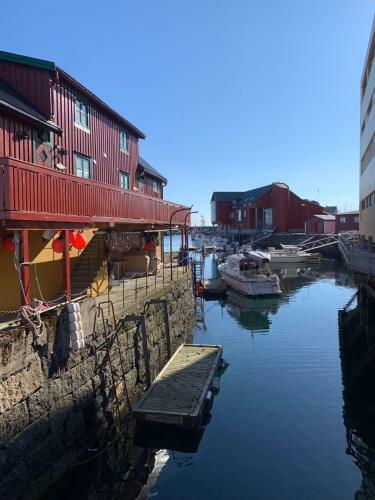 Skj�ret Stamsund