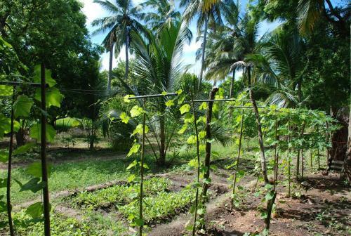 Kuda Oya Cottages