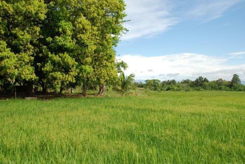 Kuda Oya Cottages