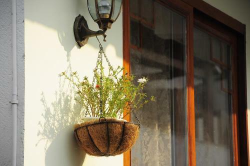 Posada Dream Garden Inn