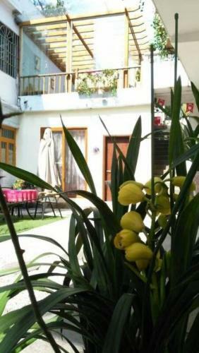 Posada Dream Garden Inn