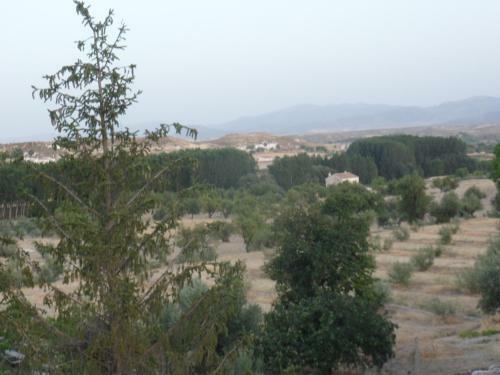 Huerta La Balsa