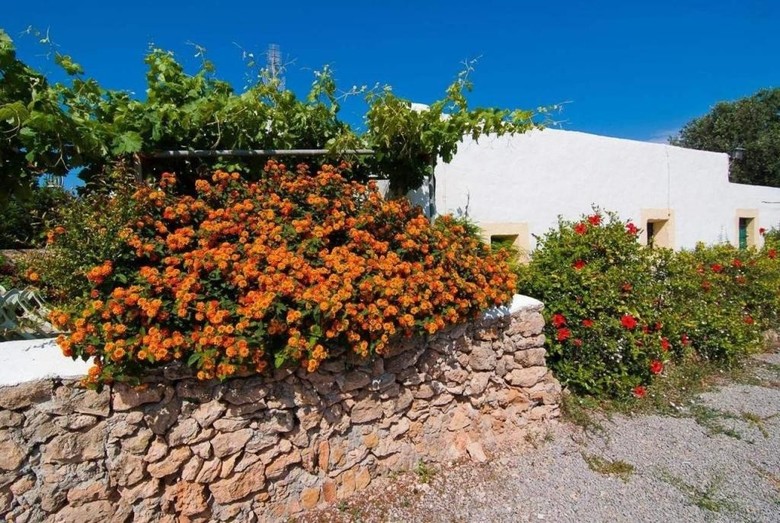 Villa Can Cala De Bou