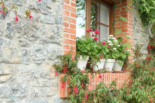 Agroturismo Casa Ines