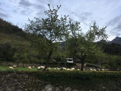 Agroturismo El Caser�o