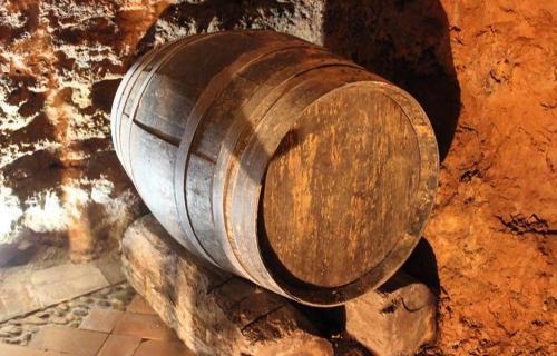 Agroturismo El Zagu�n