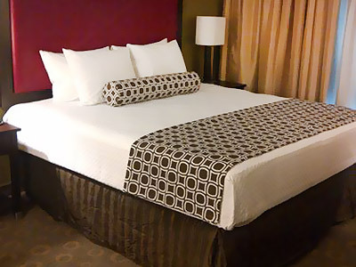Hotel Crowne Plaza Houston Galleria Area
