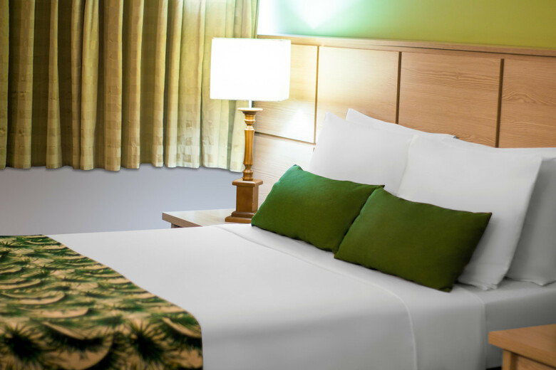 Thermas Hotel Walter World