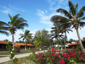 Hotel Coche Paradise