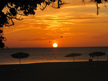 Hotel Coche Paradise